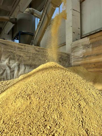 Макуха Соєва